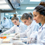 découvrez les différents cursus universitaires dédiés à l’alimentation : formations, débouchés et spécialités pour travailler dans le secteur de la nutrition et de l’agroalimentaire.