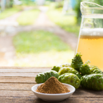 Les vertus du noni et des superaliments dans une approche naturelle de la santé